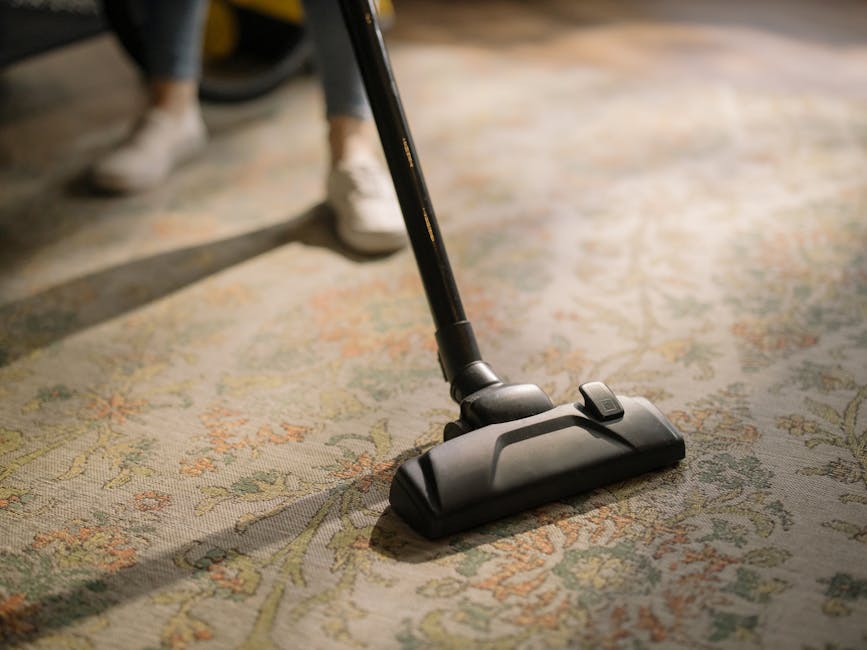 Clean living room carpet